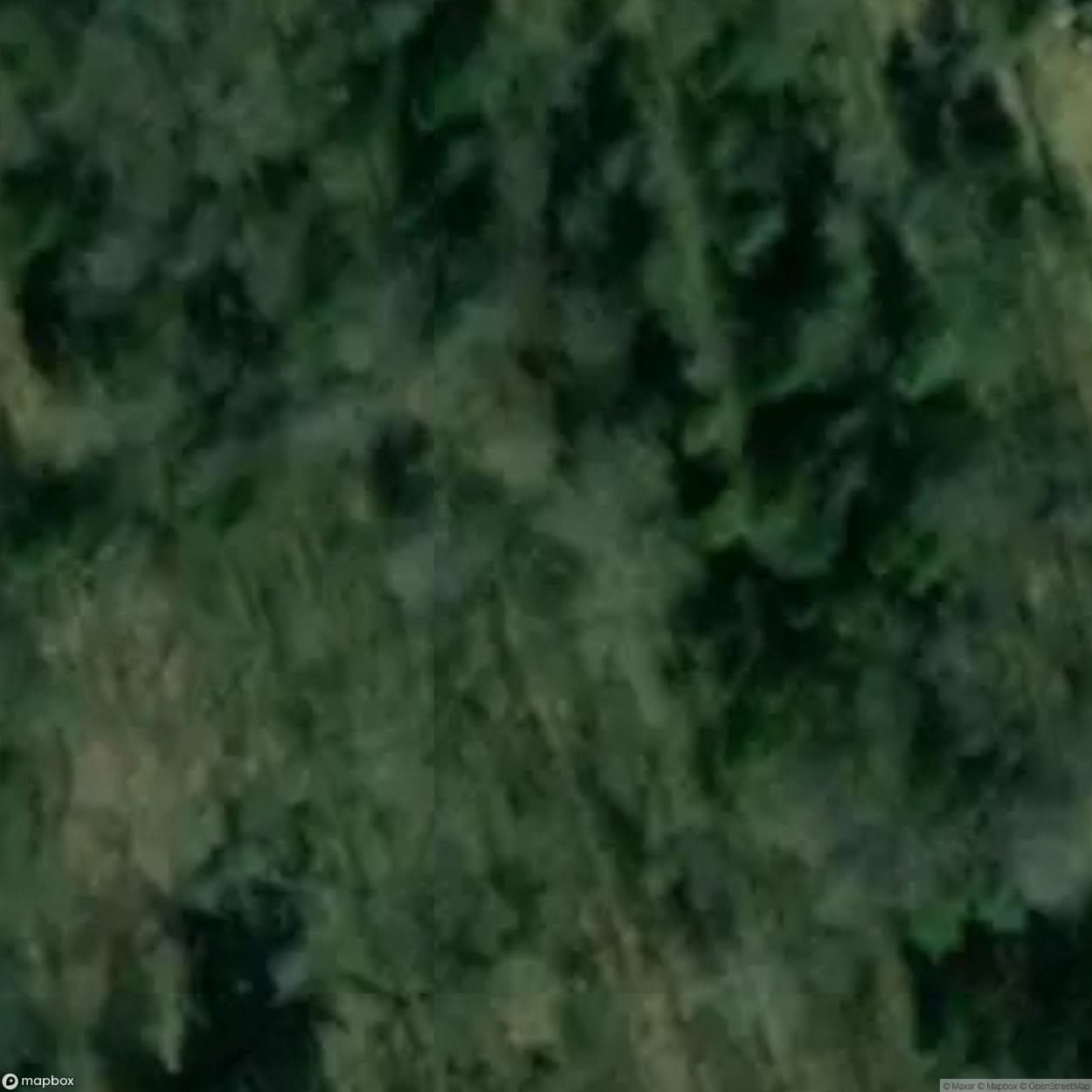 Gier Oz Site Near Ketrzyn [POL] #33326