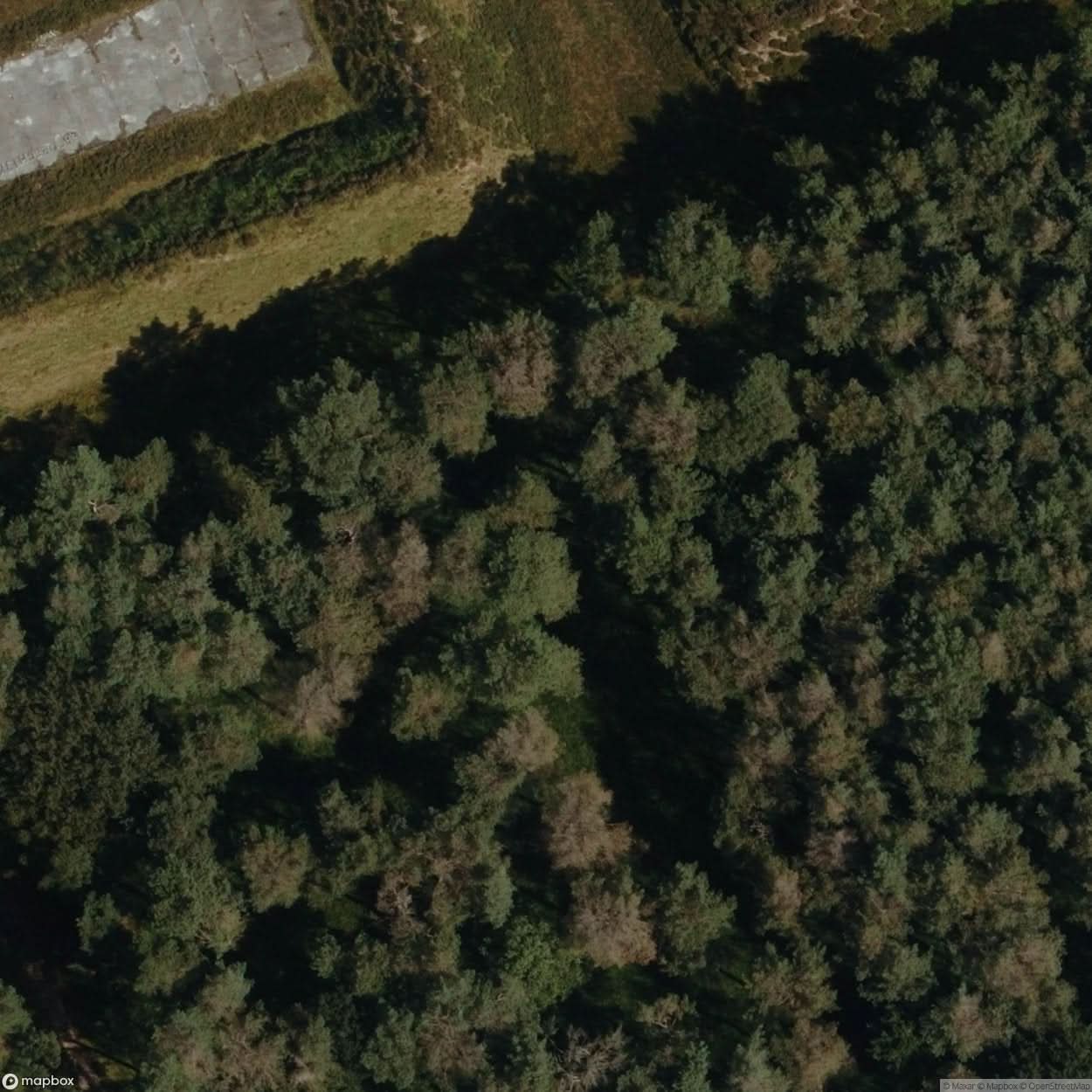 Bruggen Ammunition Depot [DEU] #32326