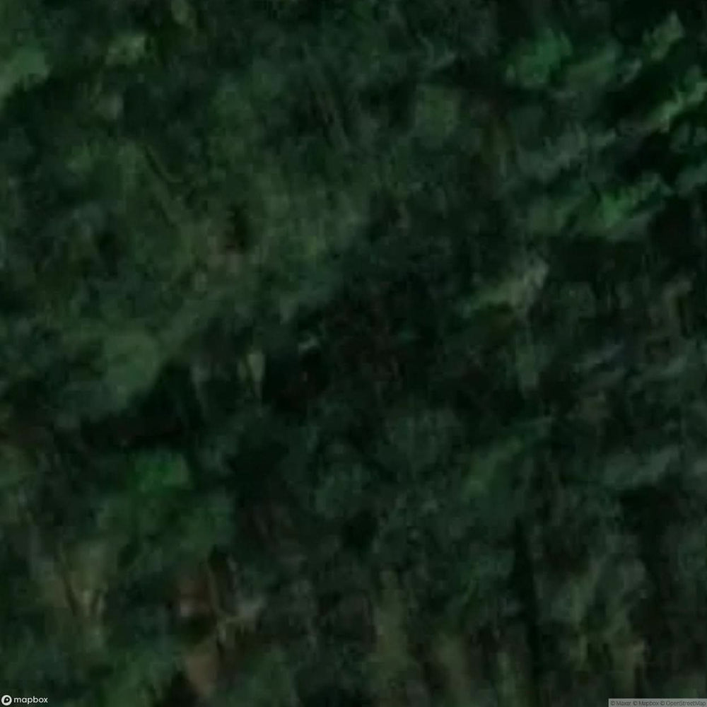 Frieda Tunnel West Portal [DEU] #11184