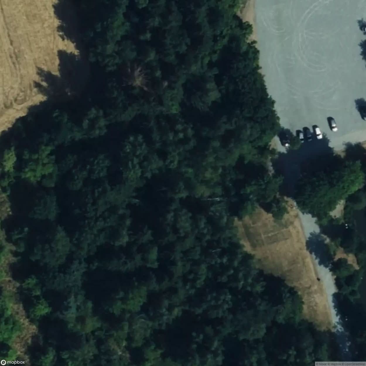 Campsite Jagersburg [DEU] #12399