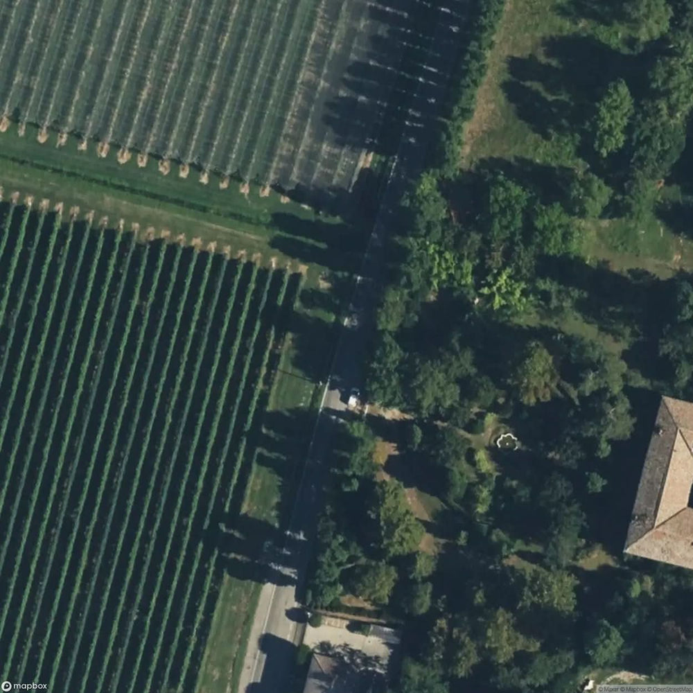Villa Vecchi [ITA] #04657
