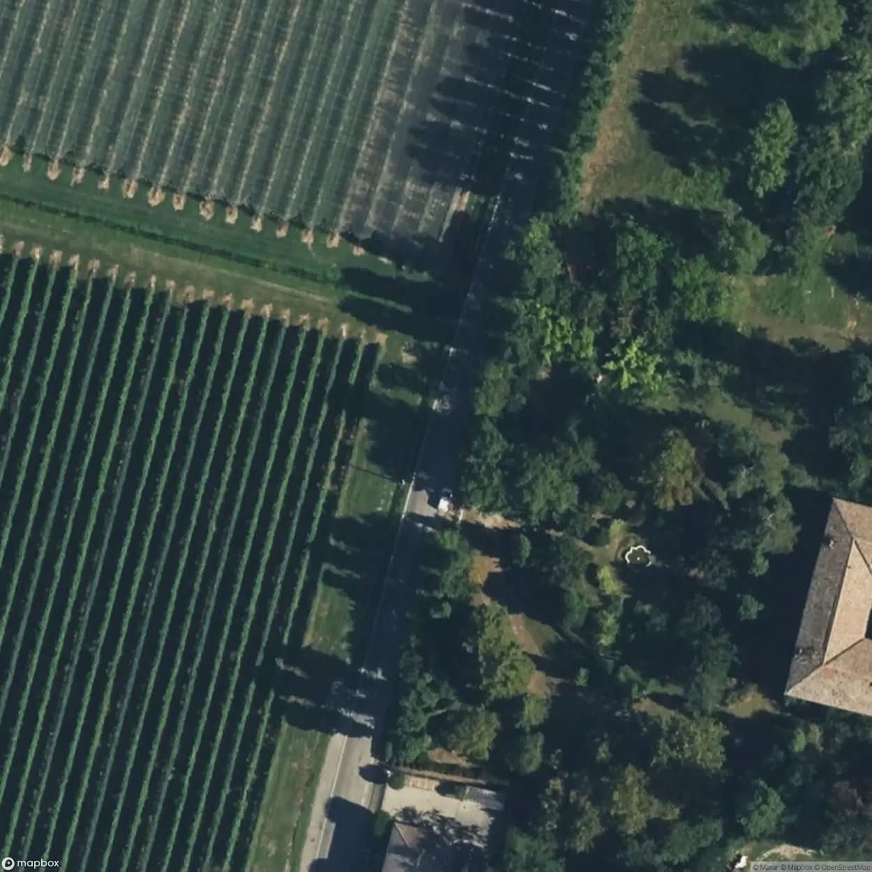 Villa Vecchi [ITA] #04657
