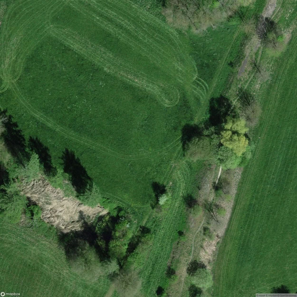 Tree Nursery Roggwil Be [CHE] #04884