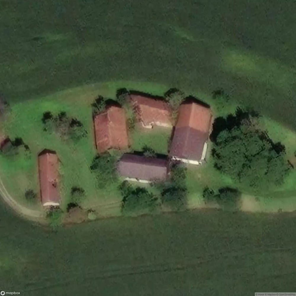 Falcognana Di Sotto Summer House [DEU] #10390