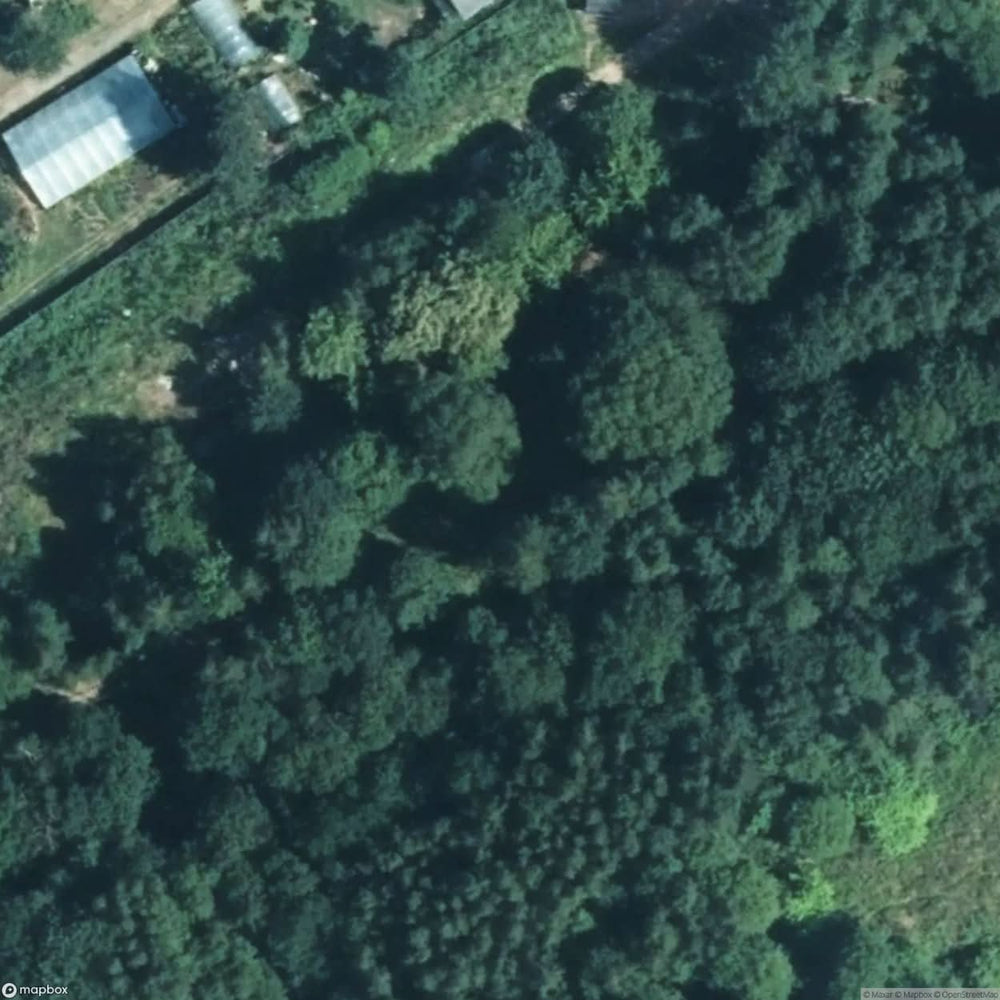 Railway Coal Line [DEU] #14204
