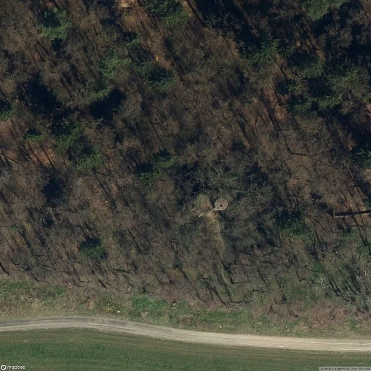 Site Powder Magazine P White [POL] #33751