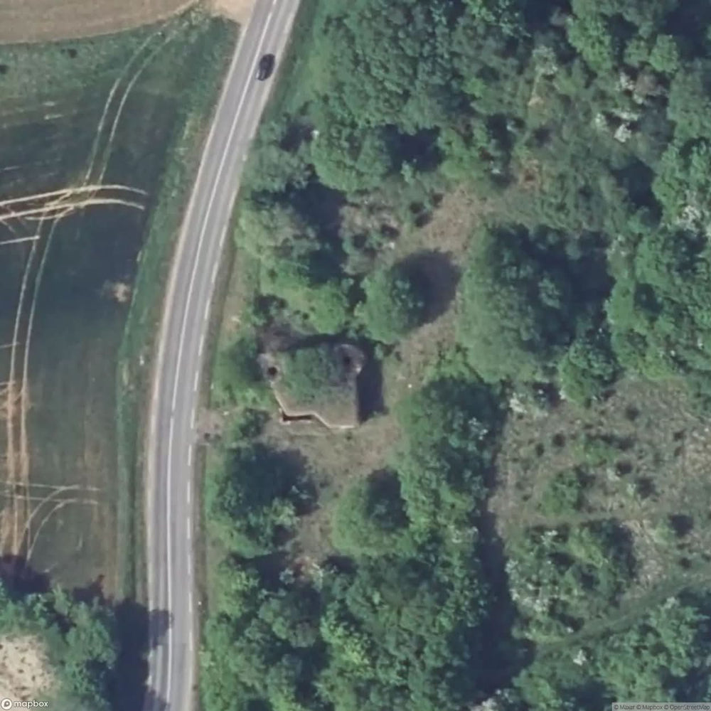 Maginot Line Plant [FRA] #06659