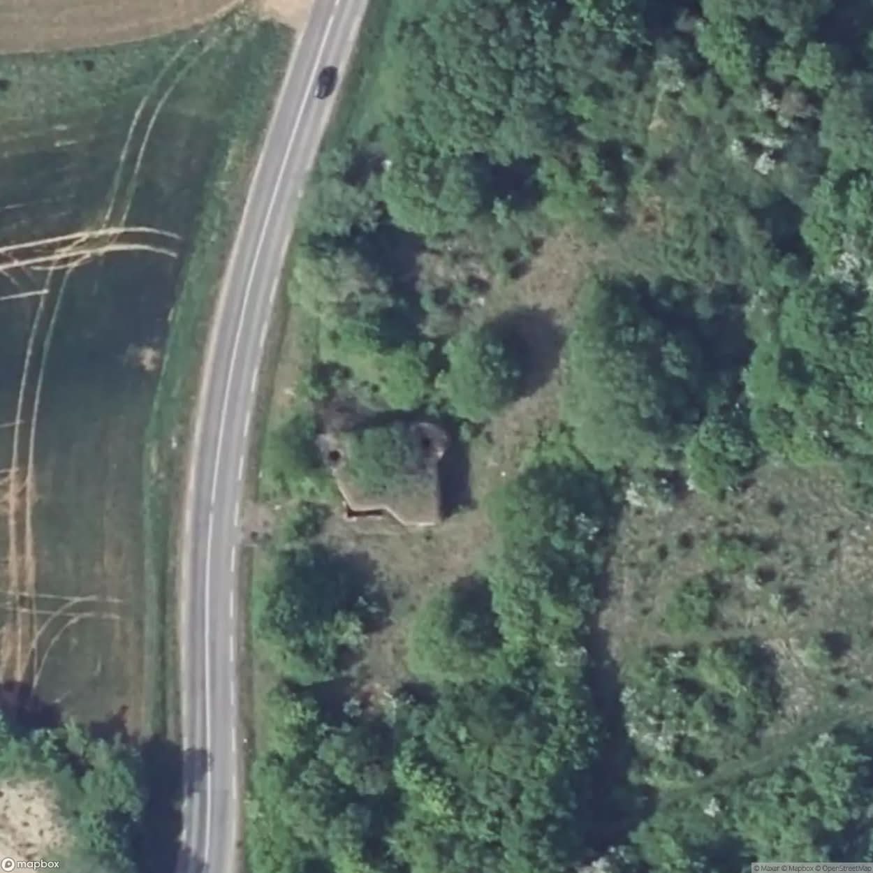 Maginot Line Plant [FRA] #06659