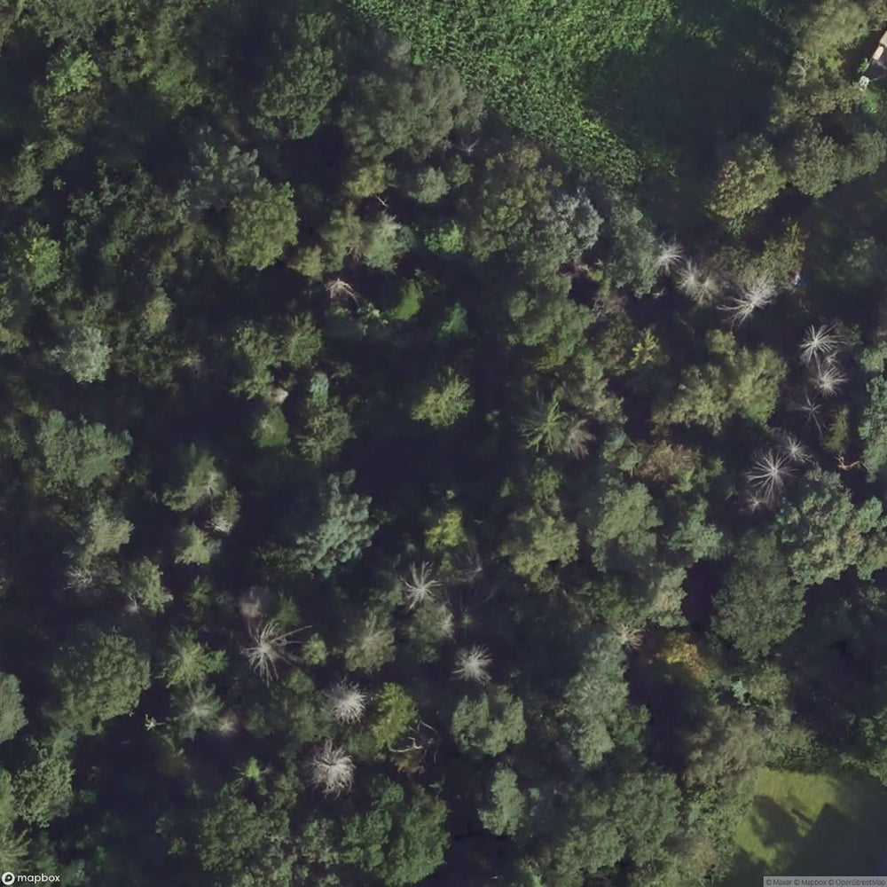 Forest Hut [DEU] #14045