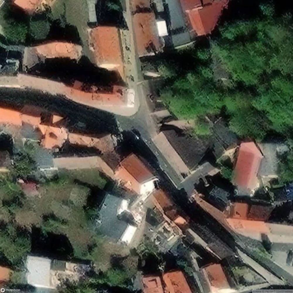 Brauner Hirsch Guesthouse [DEU] #12794