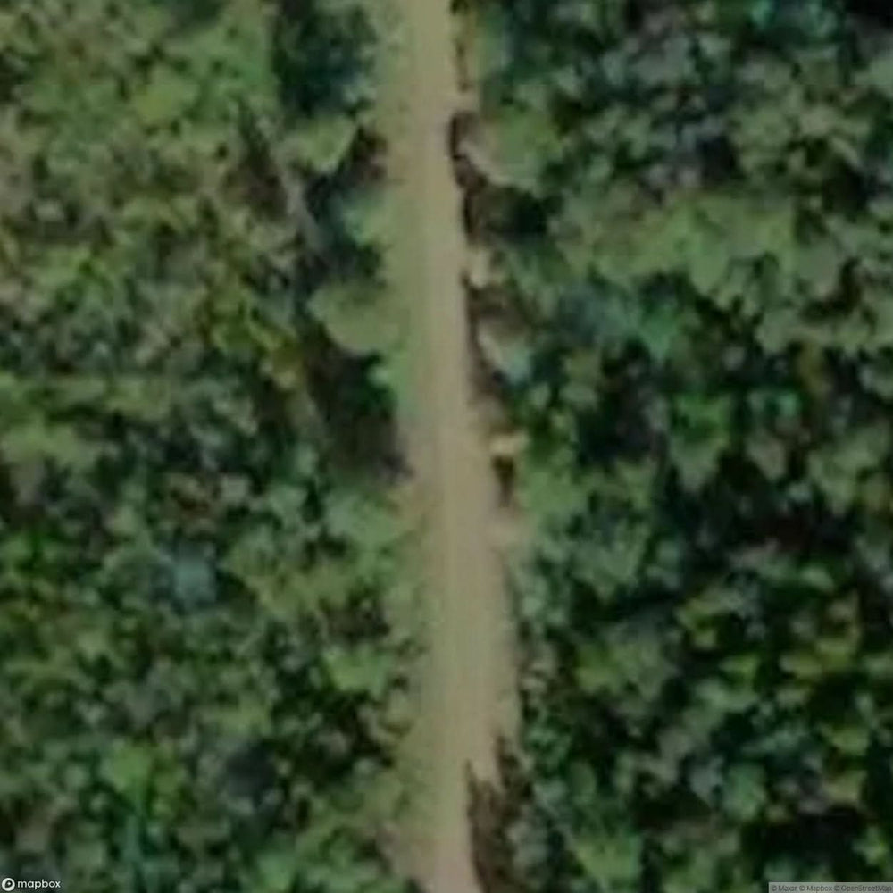 Lost Treehouse [SWE] #01300