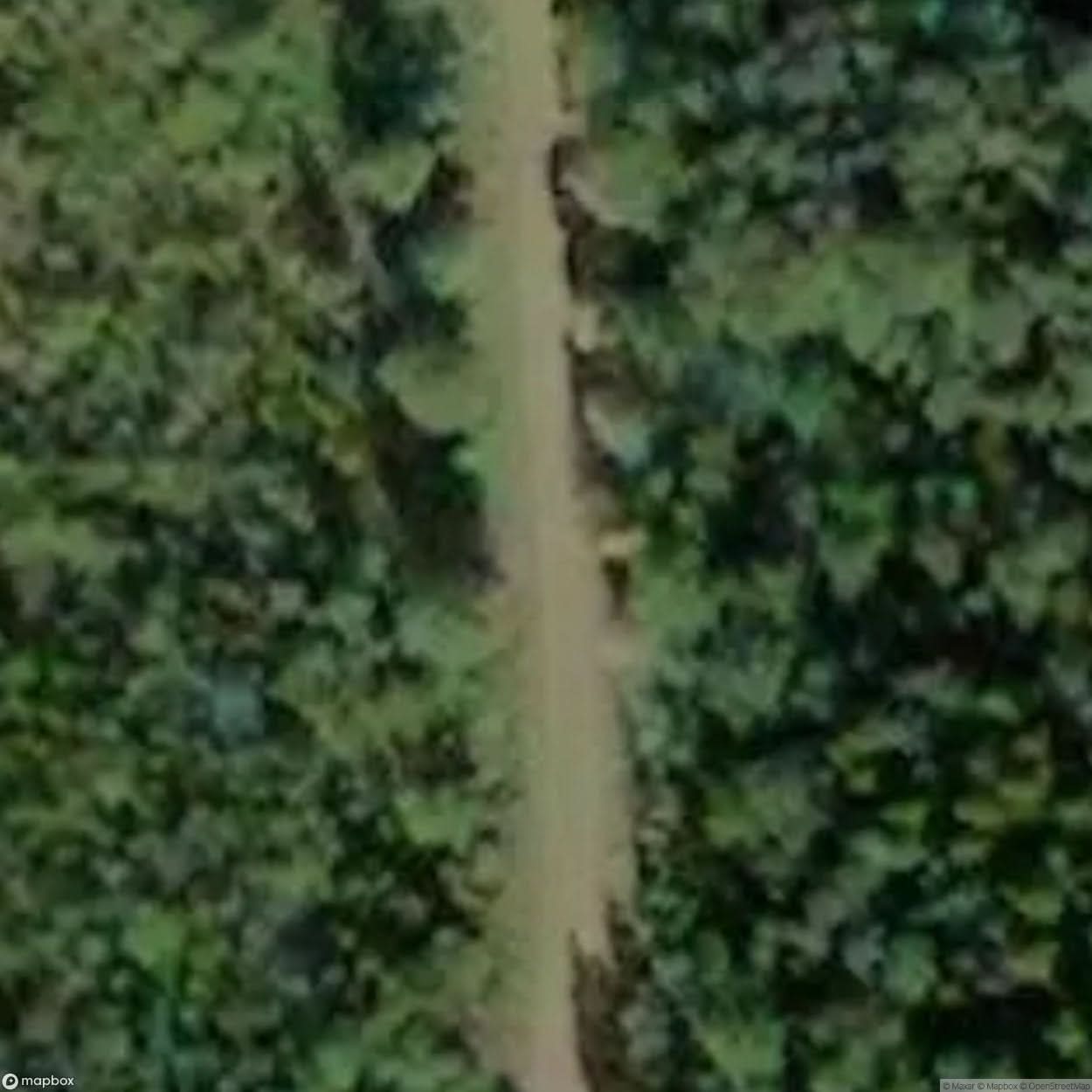 Lost Treehouse [SWE] #01300
