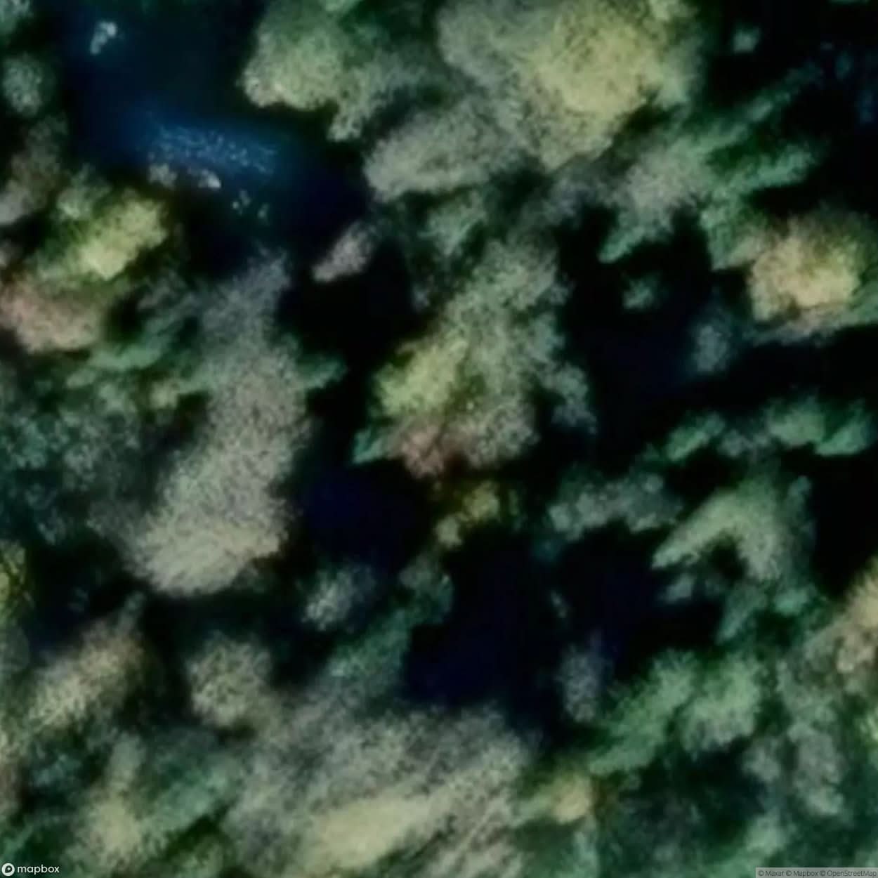 Cabin House [SWE] #00174