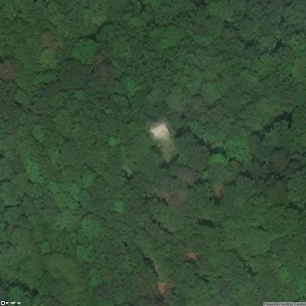 Saxenegg Castle Ruins [AUT] #09525