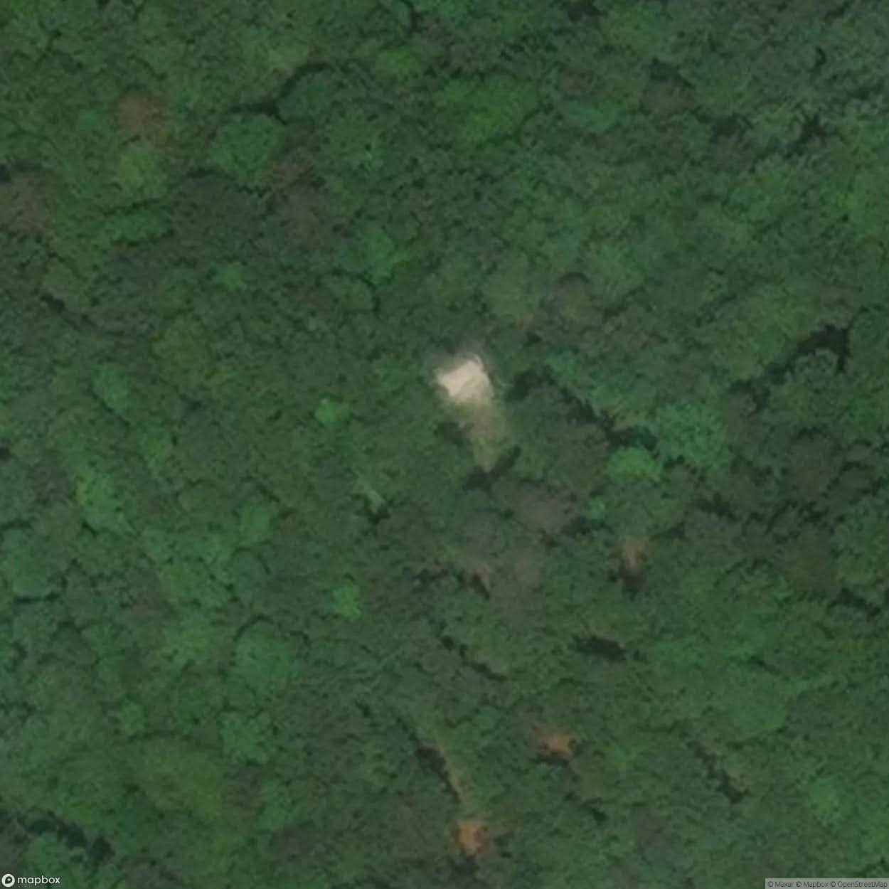Saxenegg Castle Ruins [AUT] #09525