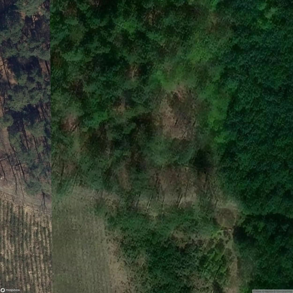 Historic Cemetery Niezdrowice [POL] #35834