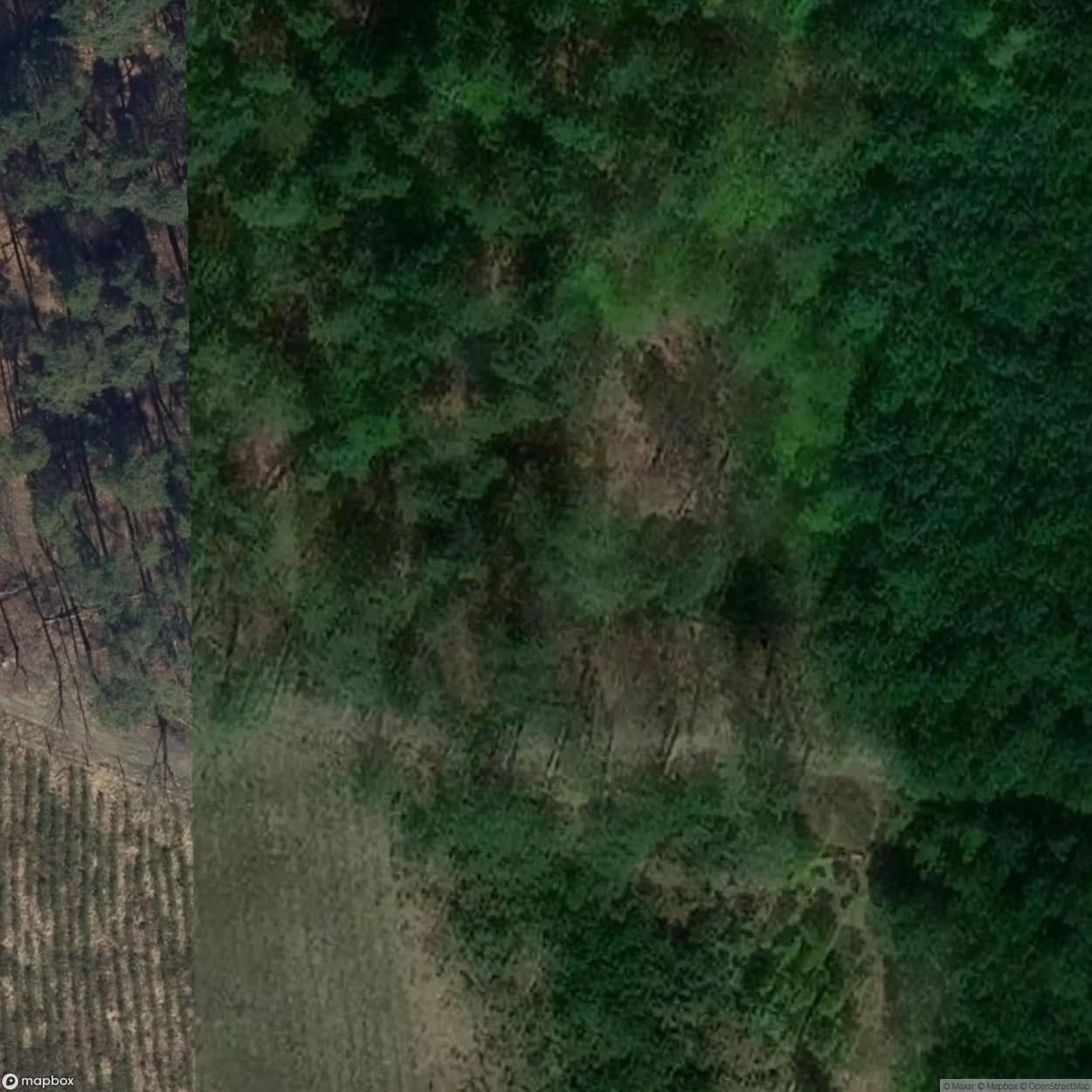 Historic Cemetery Niezdrowice [POL] #35834