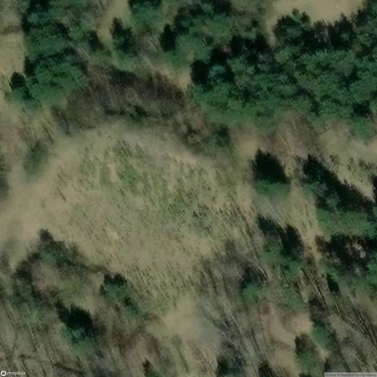Abandoned Military Bunker Dobrzynska Shelter [POL] #32201