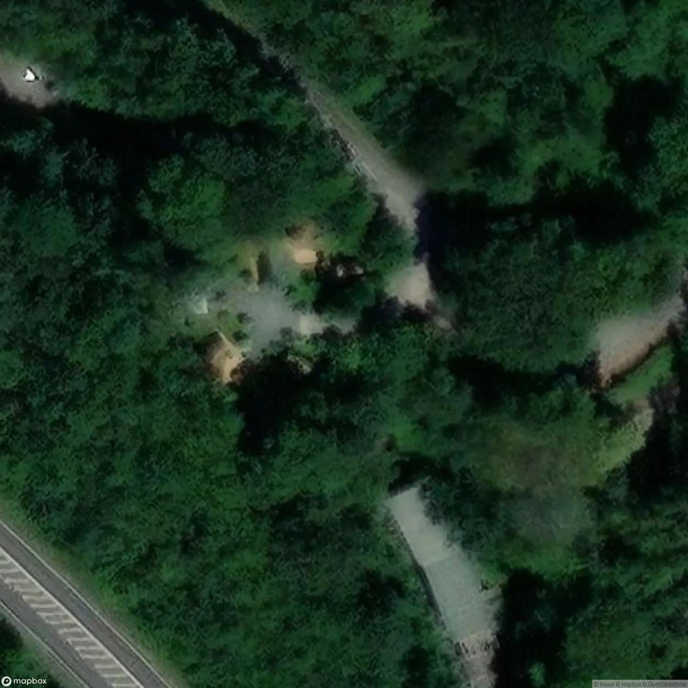 Tunnel Tree Tops Ltd Charmouth [GBR] #12088
