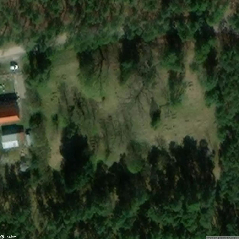 Historic Cemetery Mennonite Cemetery In Barcice [POL] #35866