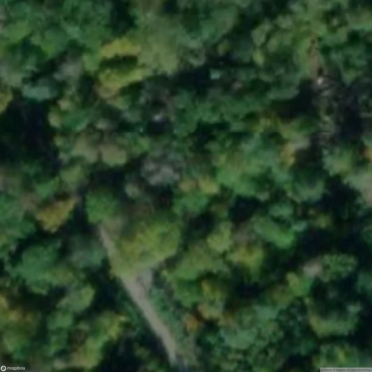 Multiple Bunkers In Forest [DEU] #16586