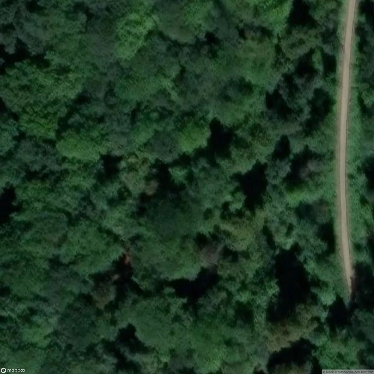 Lady Park Wood Iron Mines [GBR] #05967