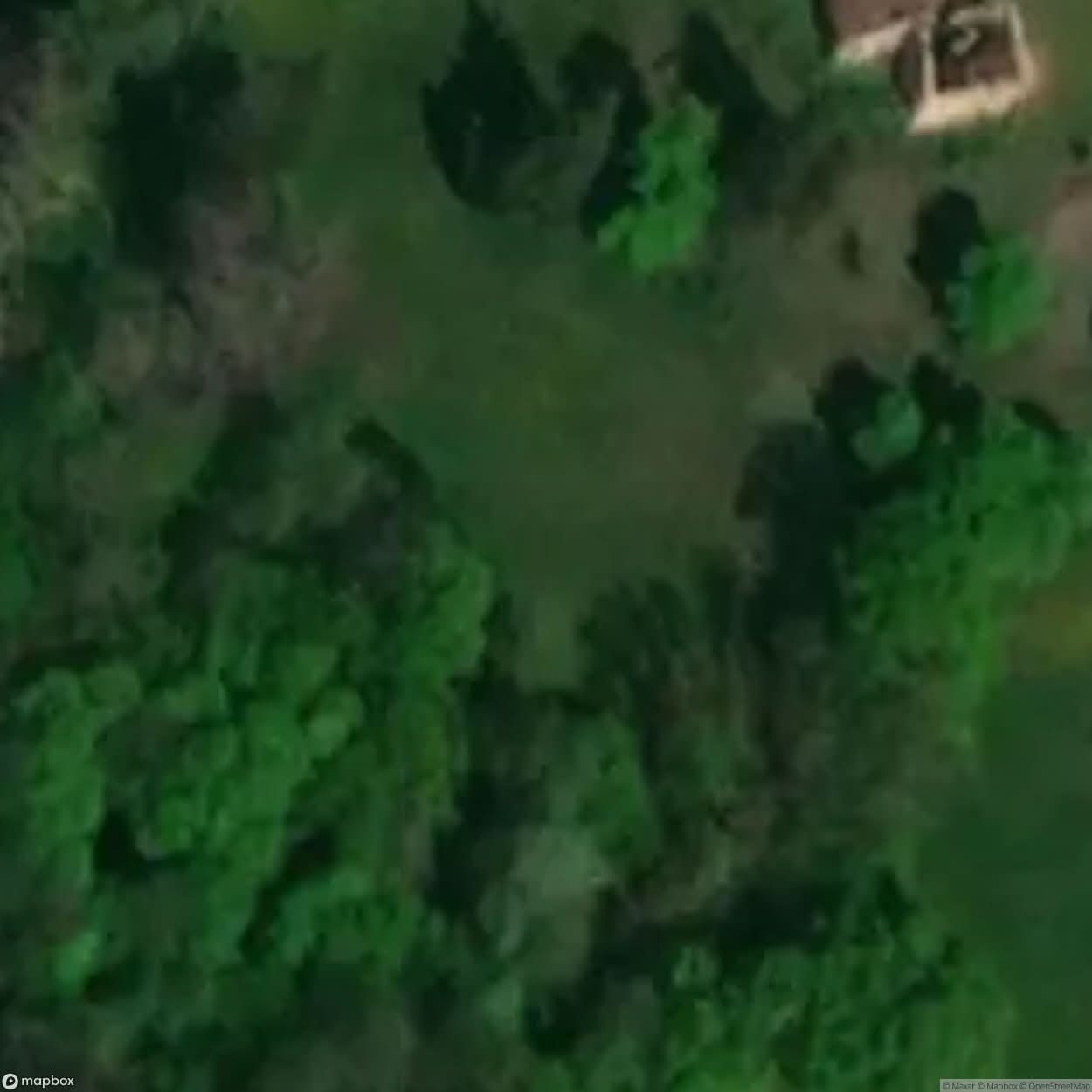 Historic Manor House [POL] #33419