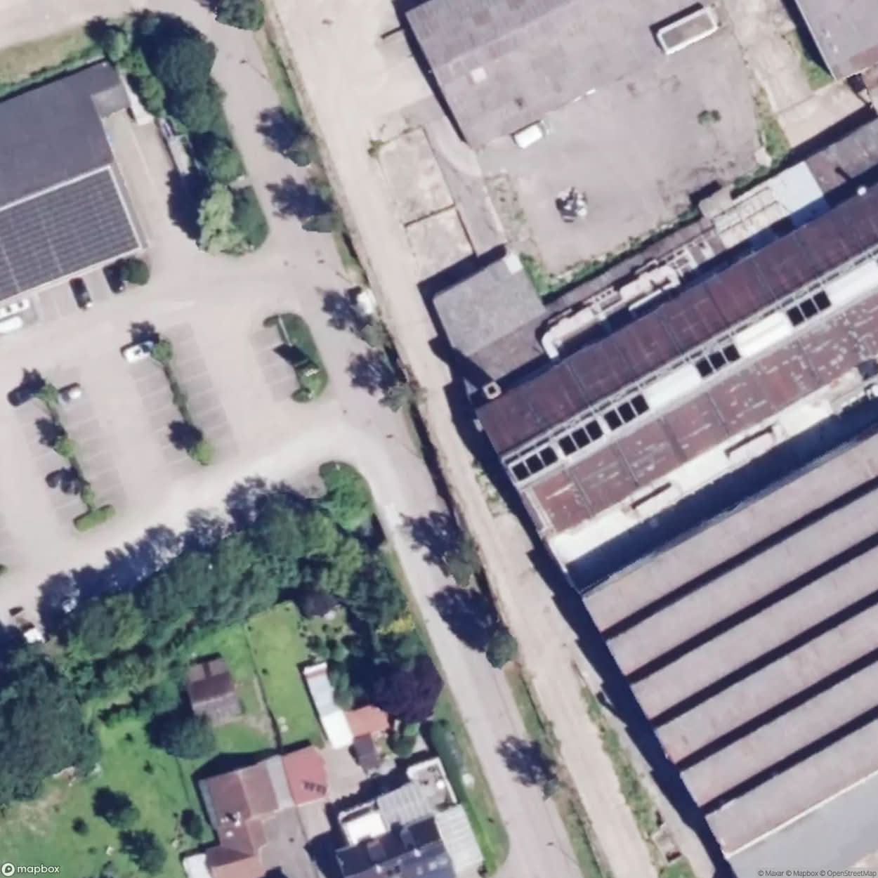 Plant Salzach [DEU] #06221