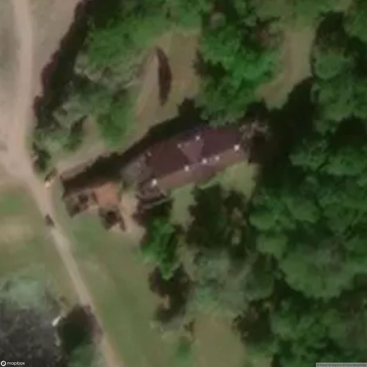 Manor House Bear [POL] #23808