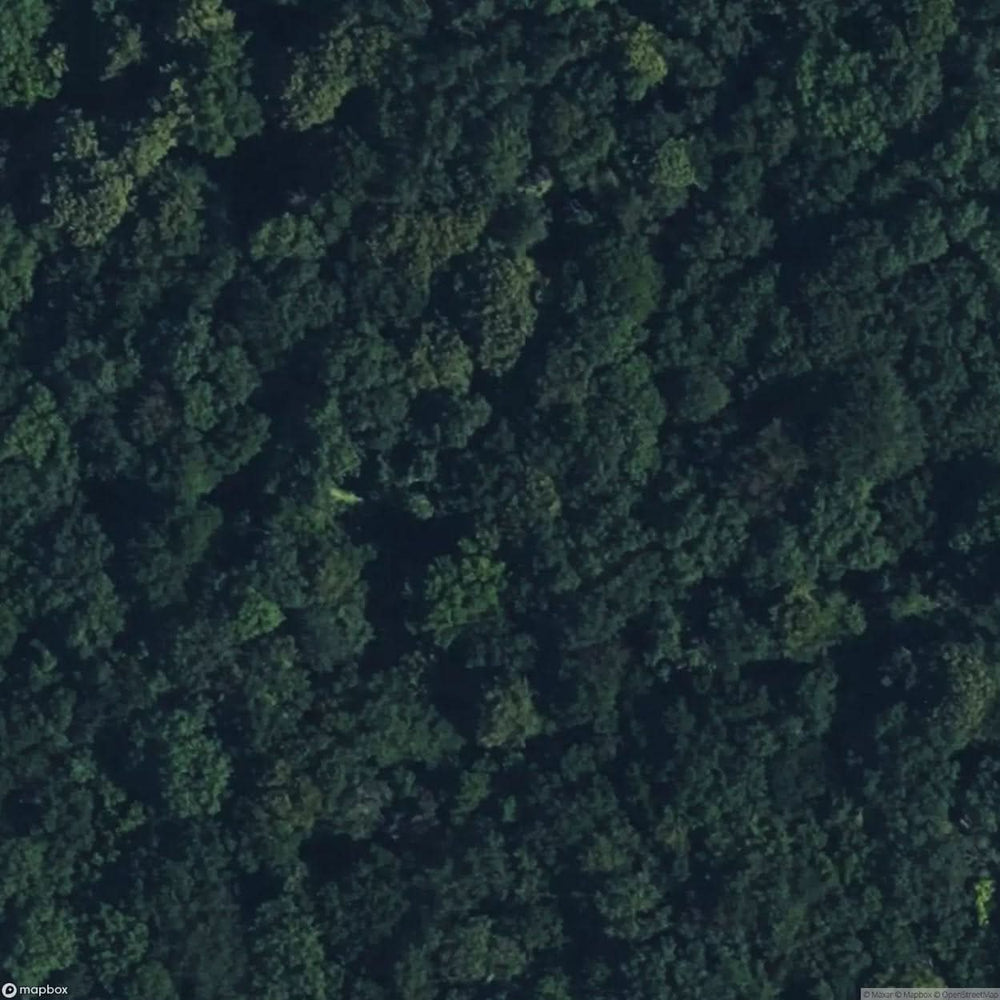 Knowle Wood Mine [GBR] #05921