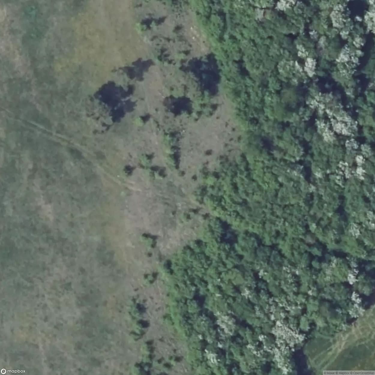 Pomeranian Line Bunker Remains [FRA] #16888