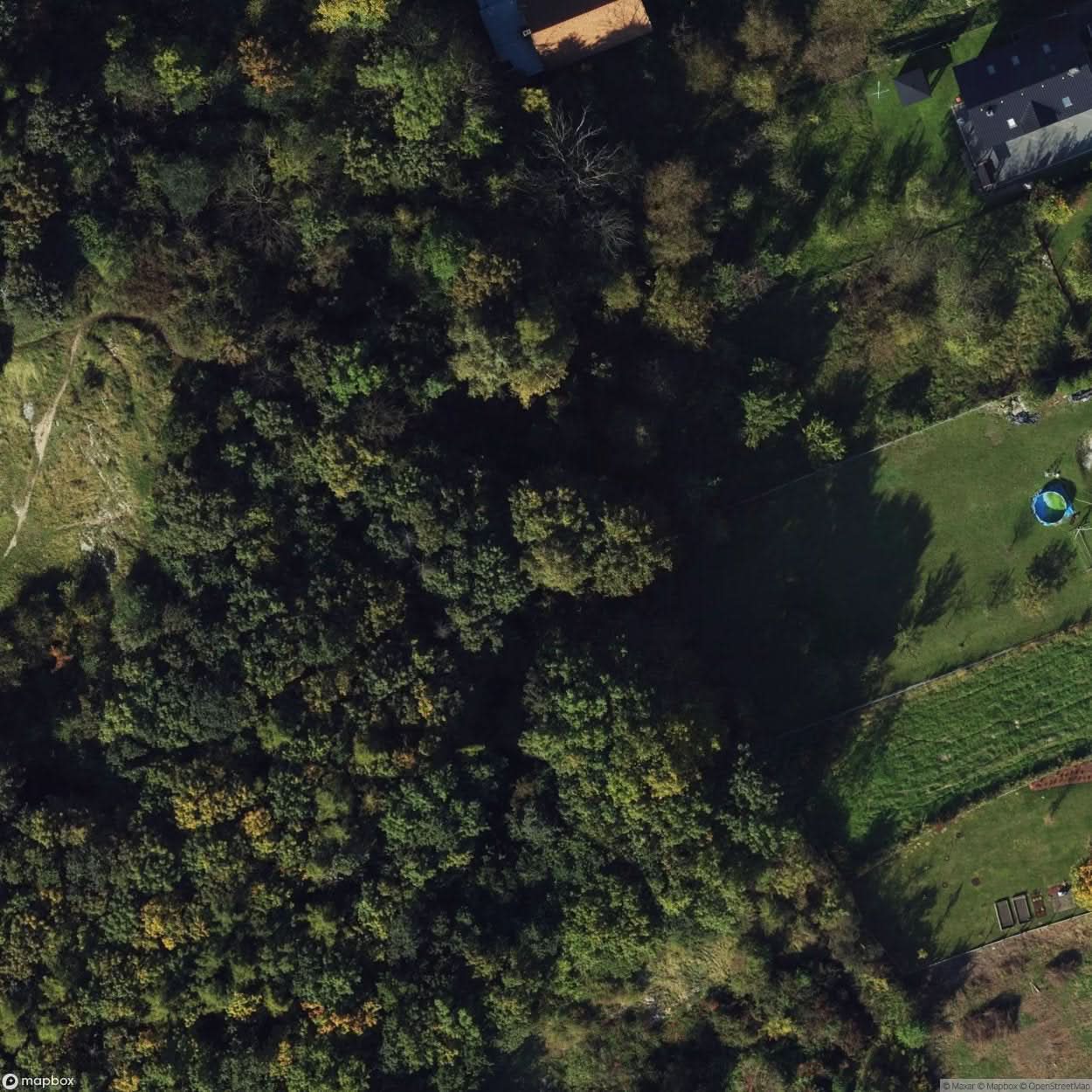 Site Destroyed Cottage In The Forest [POL] #33836