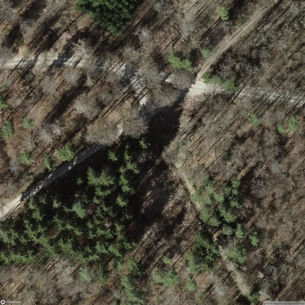 Fort Gowa [CHE] #17700