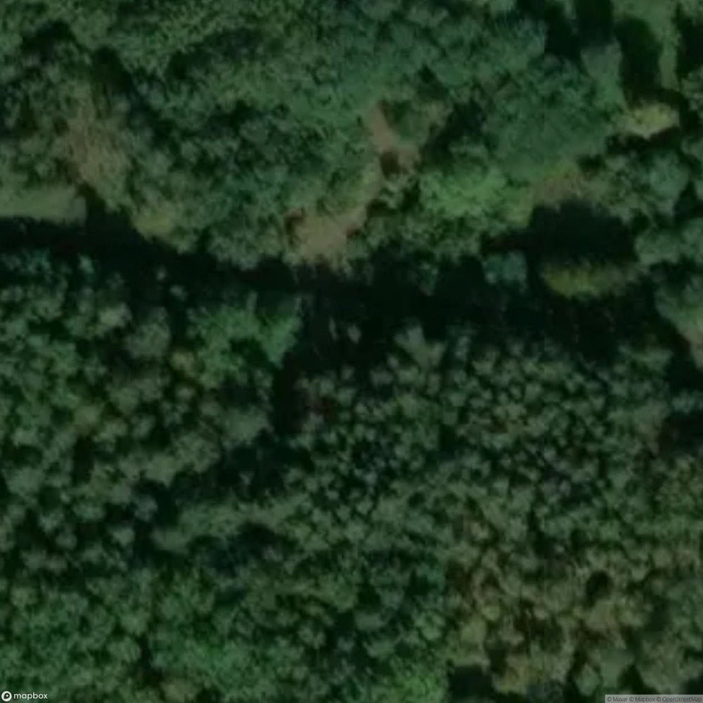 Site Abandoned Village Kampinos National Park [POL] #33428