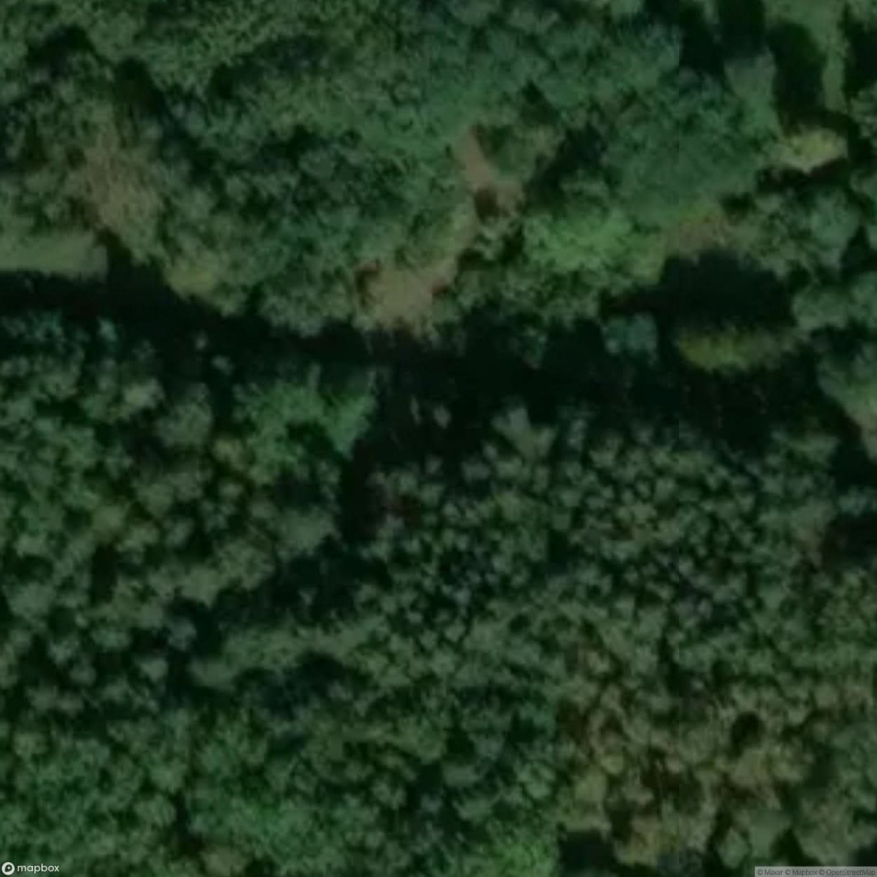 Site Abandoned Village Kampinos National Park [POL] #33428