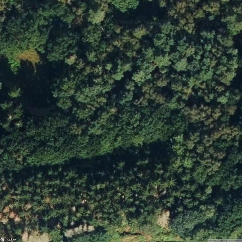 Railway Wagon In The Forest [DEU] #07336