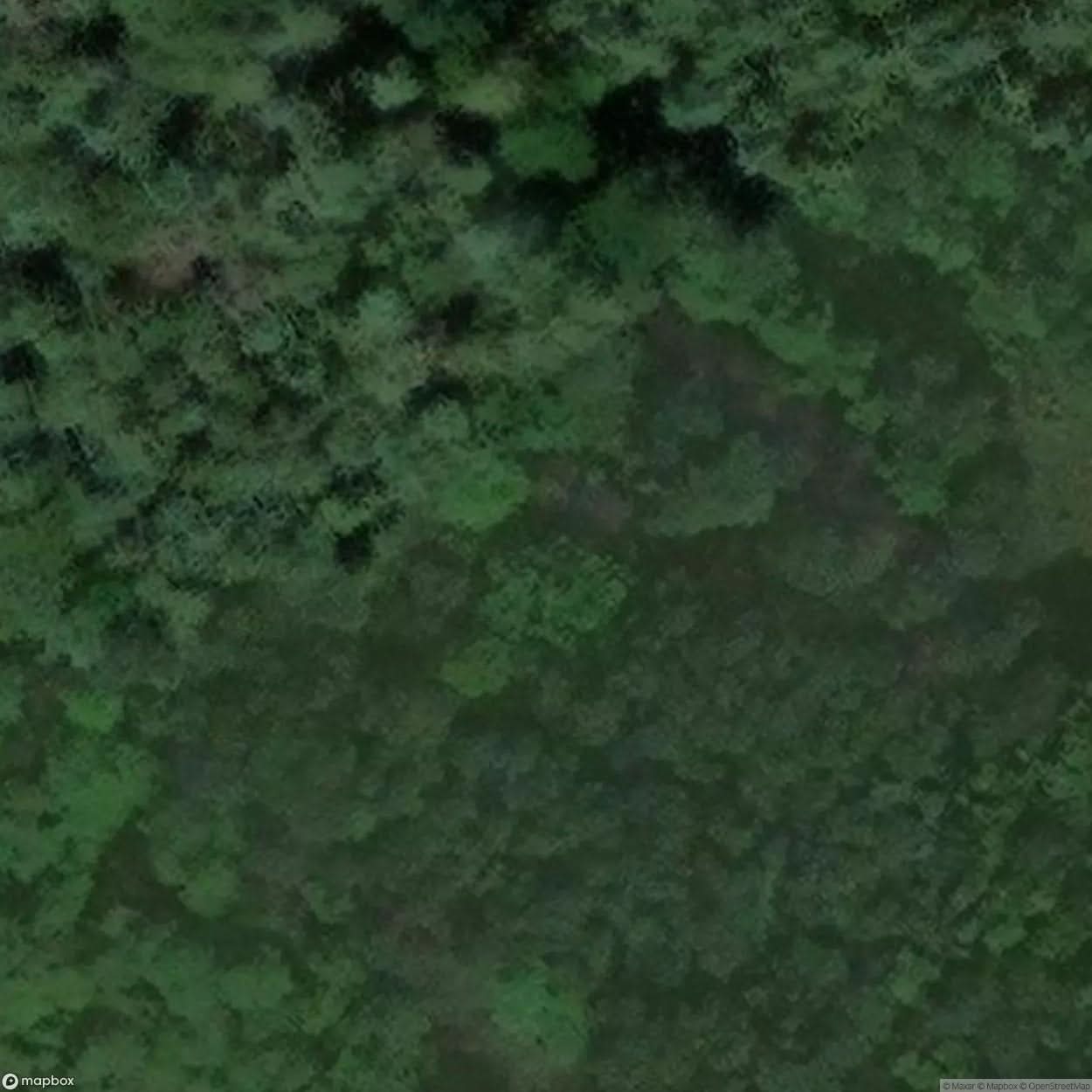 House In The Woods [POL] #03454