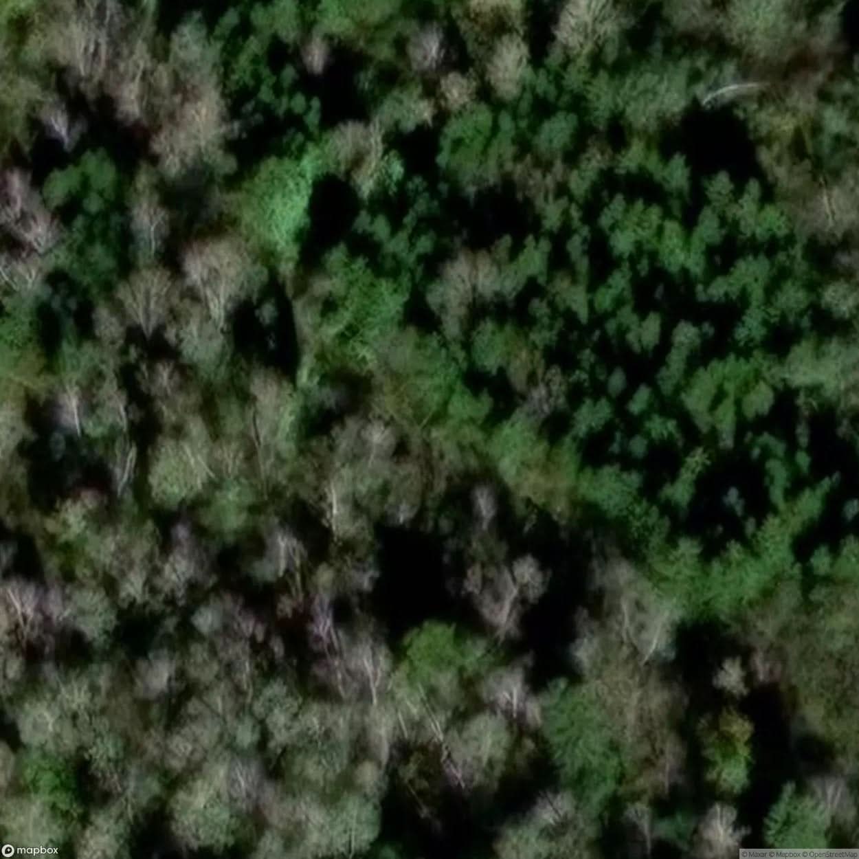 Abandoned Fort Fort Ulcinij [DEU] #32361