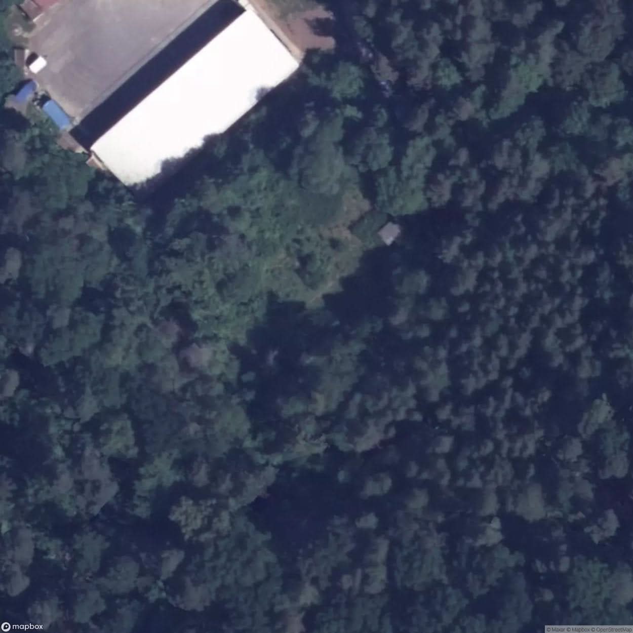 Abandoned Fort Fort Xii Janowo [DEU] #31992