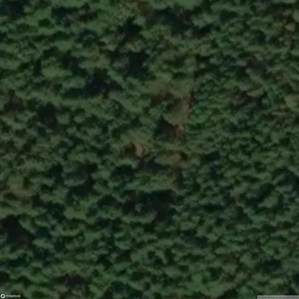 Site Abandoned Village [POL] #33429