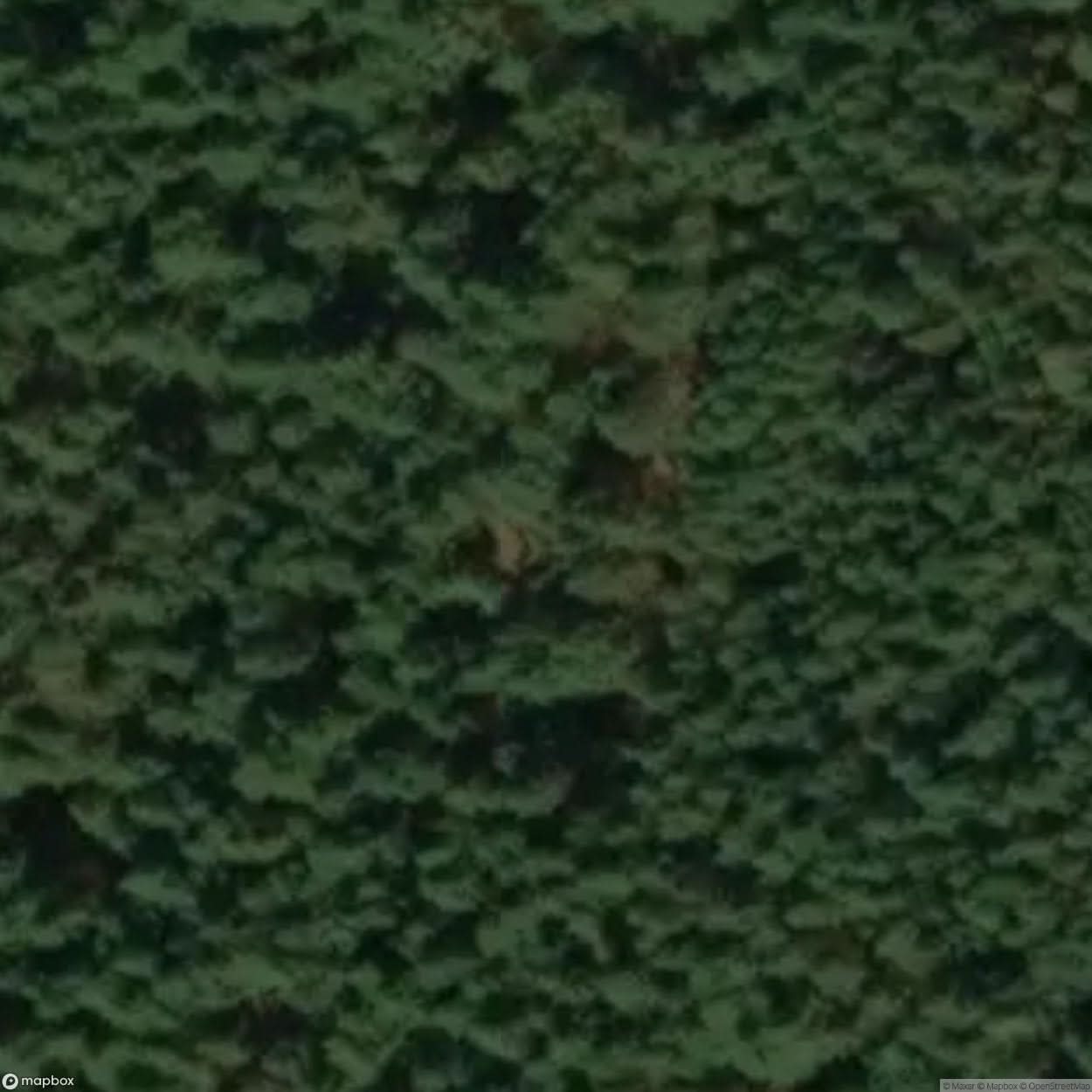 Site Abandoned Village [POL] #33429