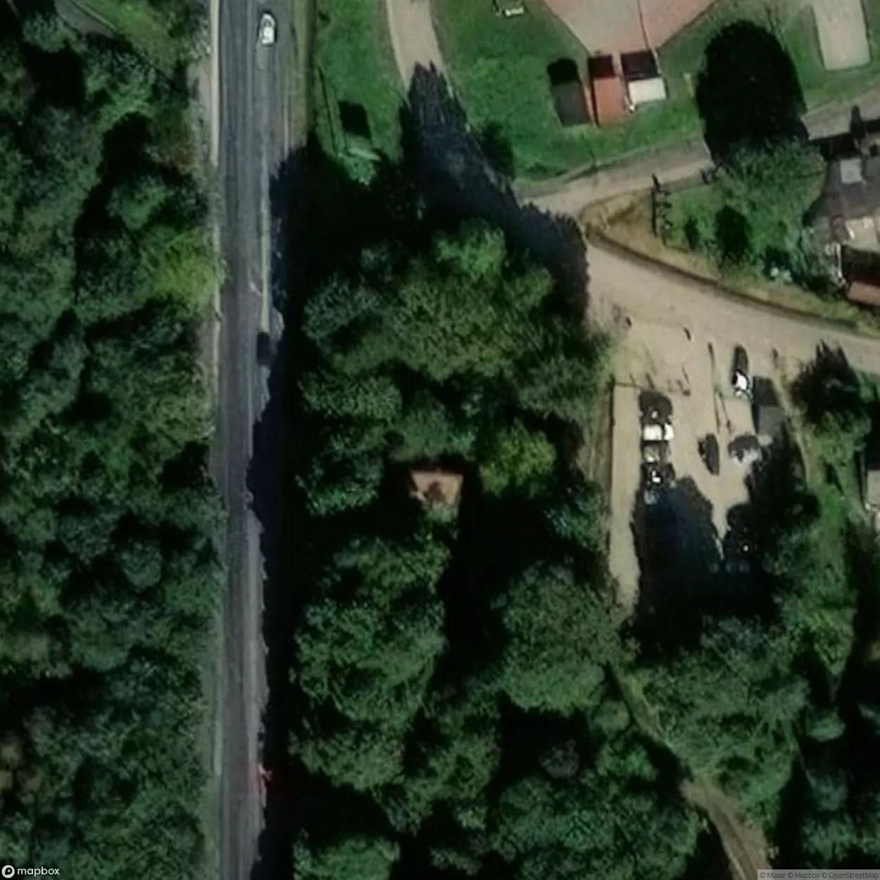 Historic Cemetery Pyskowice [POL] #35811