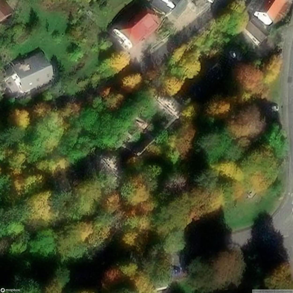 Castle Wood [DEU] #11889