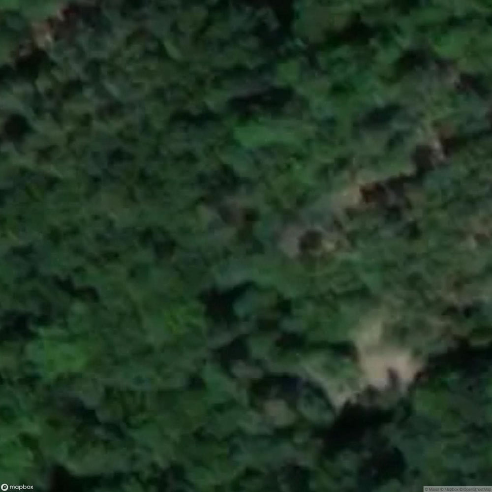 Uroczysko Mosty Site [POL] #33489
