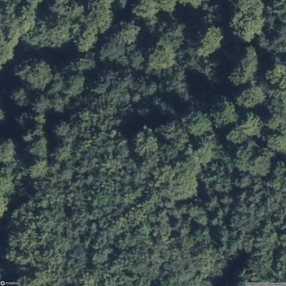 Jewish Cemetery [DEU] #08193