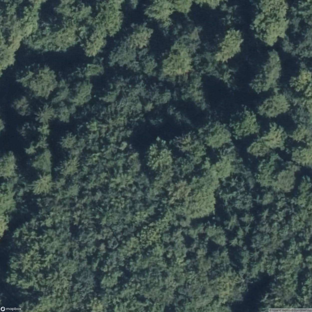 Jewish Cemetery [DEU] #08193
