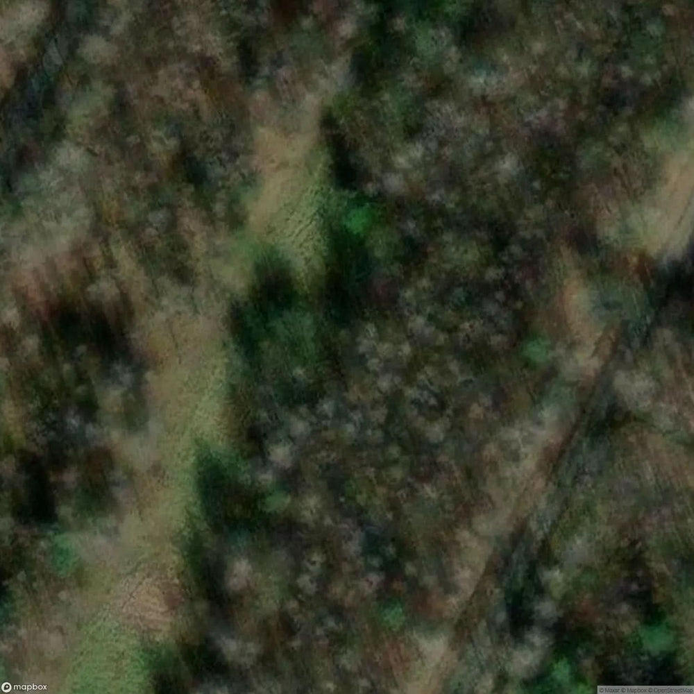 Bunker Trail Group Of Bunkers [BEL] #17067