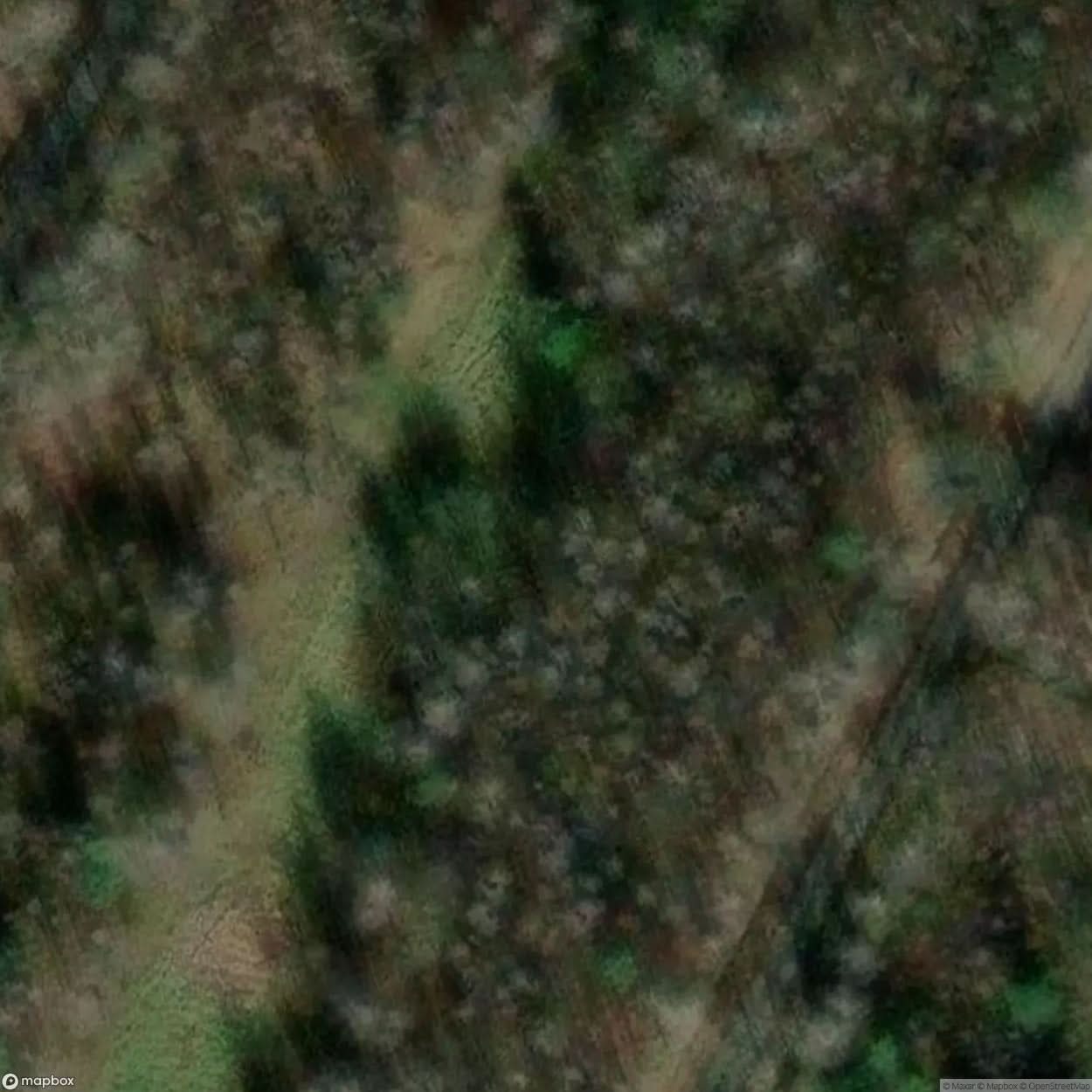 Bunker Trail Group Of Bunkers [BEL] #17067