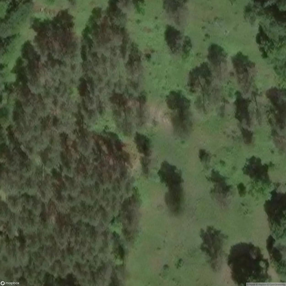 Hitler S Stadium Hill [DEU] #08116