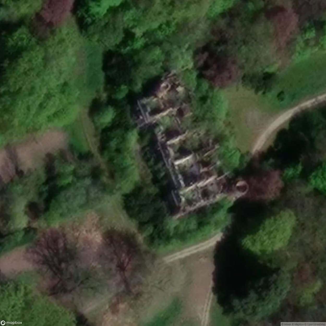 Castle In The Forest [BEL] #10593